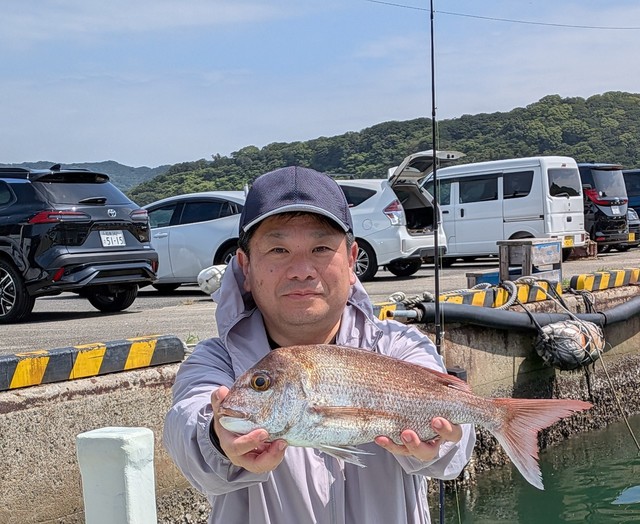 マダイ
