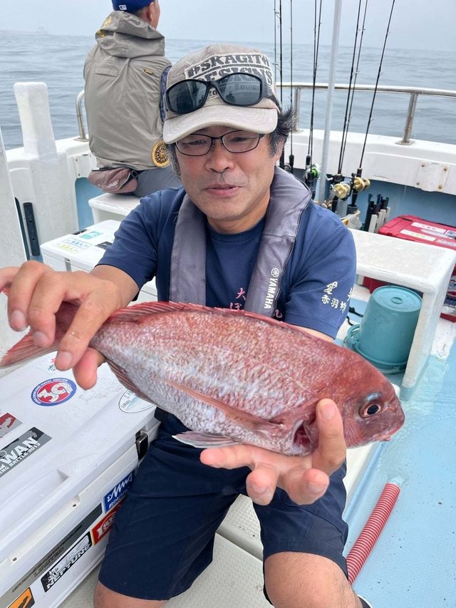 マダイ