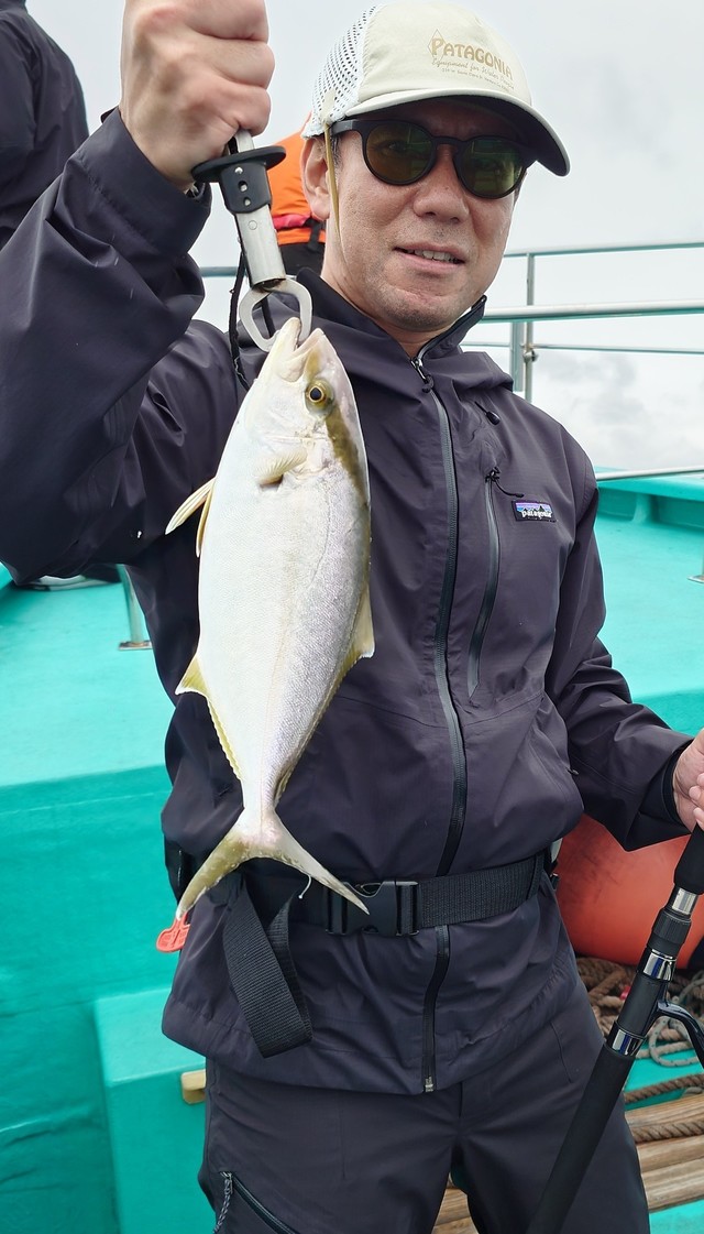 ショゴ(カンパチ)