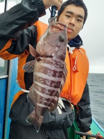 マハタ