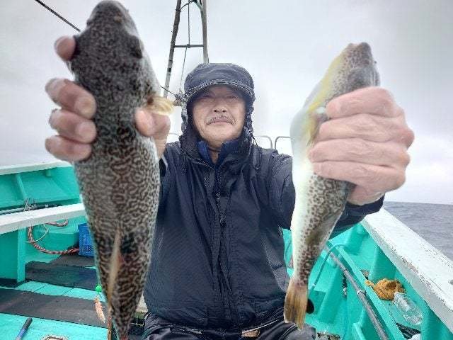 ショウサイフグ