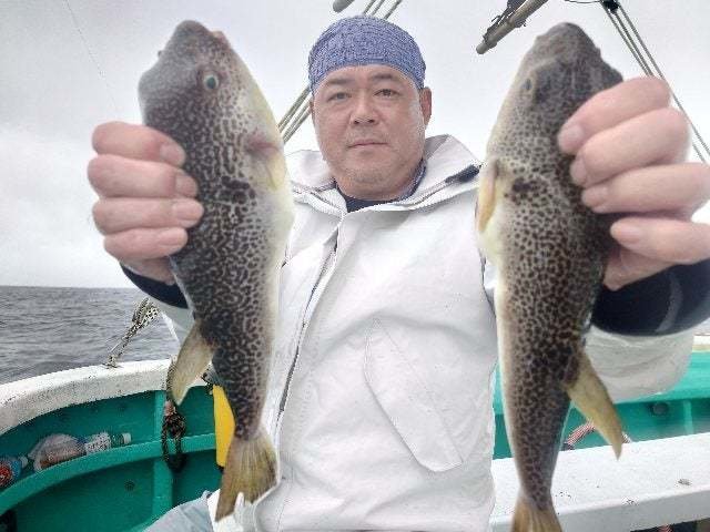ショウサイフグ