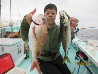 マダイ・アジ(マアジ)