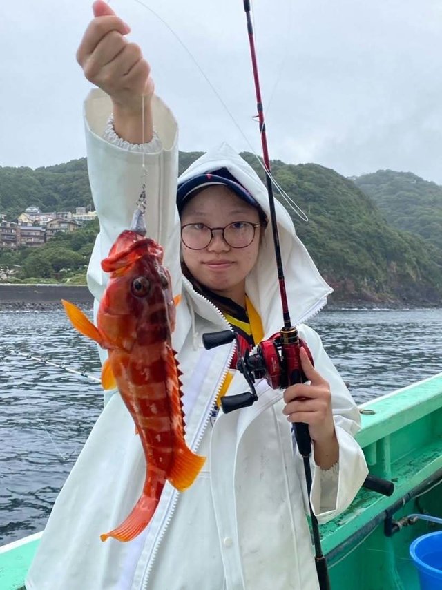 アカハタ