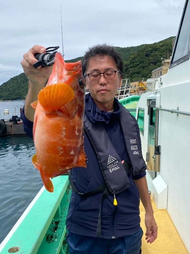 アカハタ