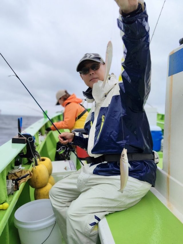 シロギス