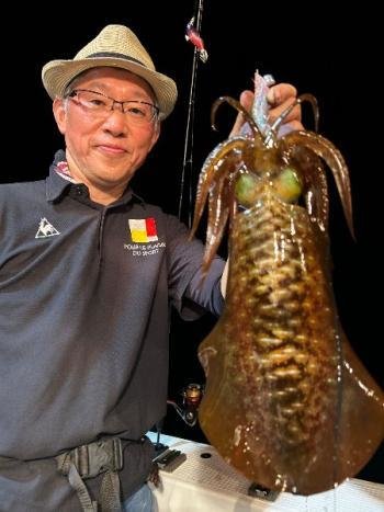 アオリイカ