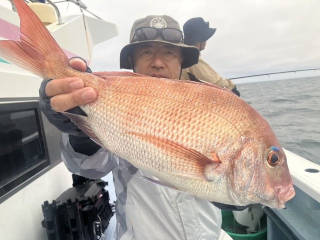マダイ