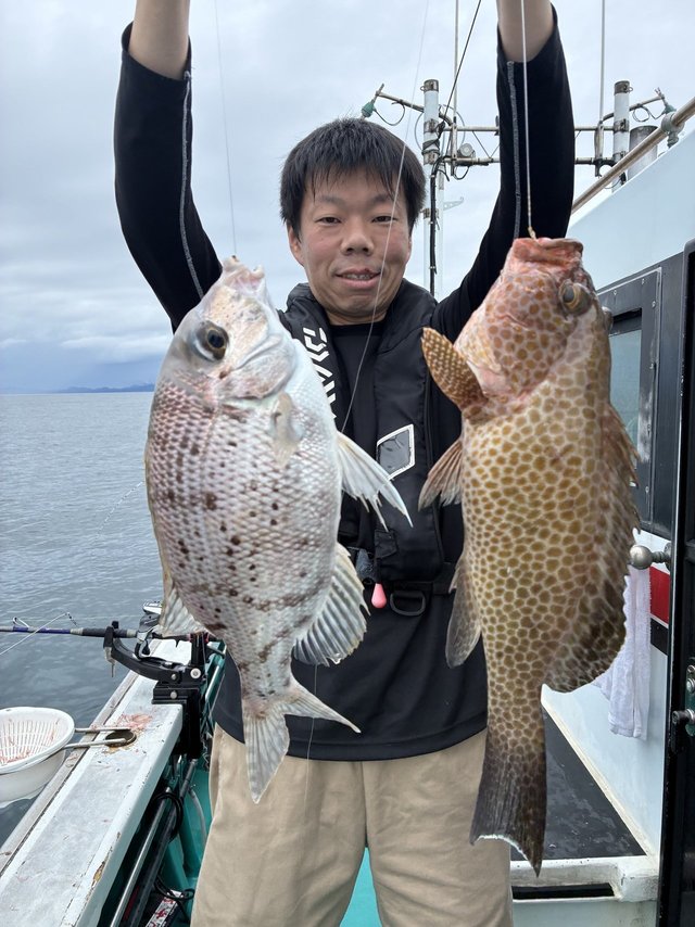 オオモンハタ・メイチダイ