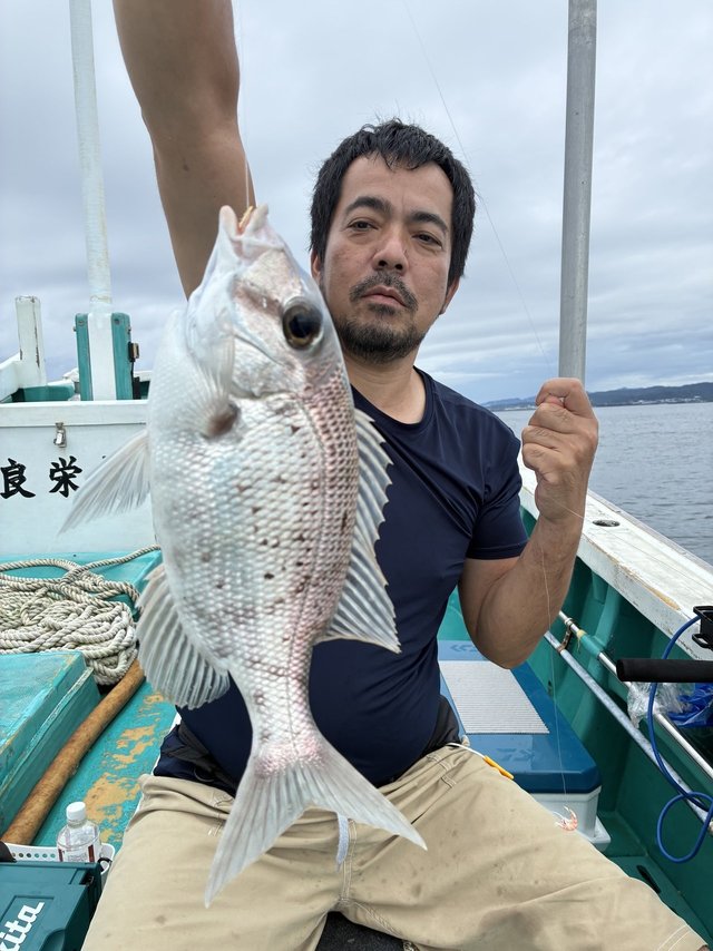 メイチダイ