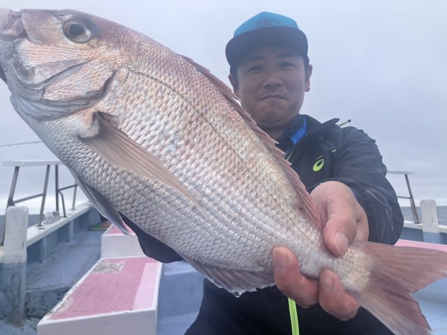 マダイ