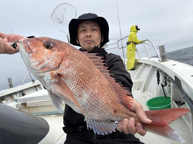 マダイ