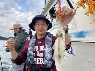 アオリイカ