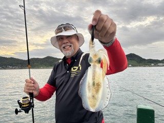 アオリイカ
