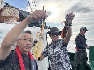アオリイカ