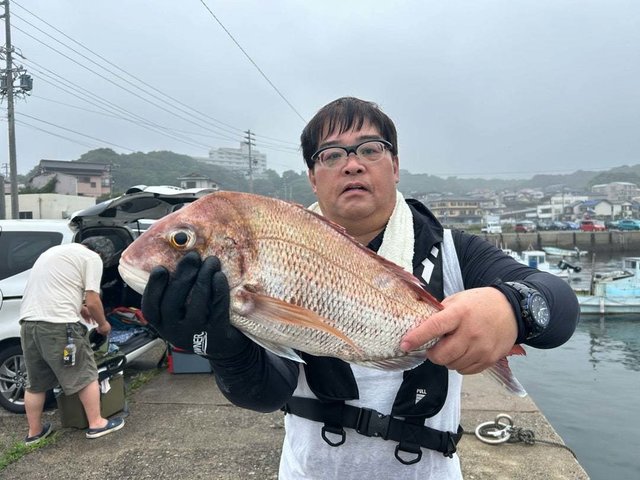 マダイ