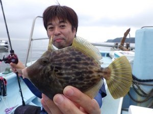 カワハギ