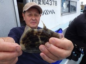カワハギ
