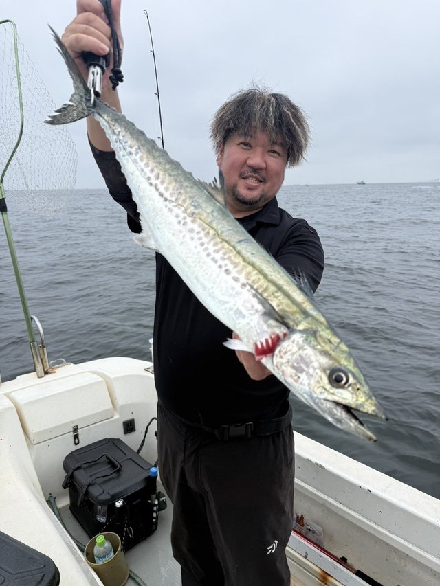 サワラ