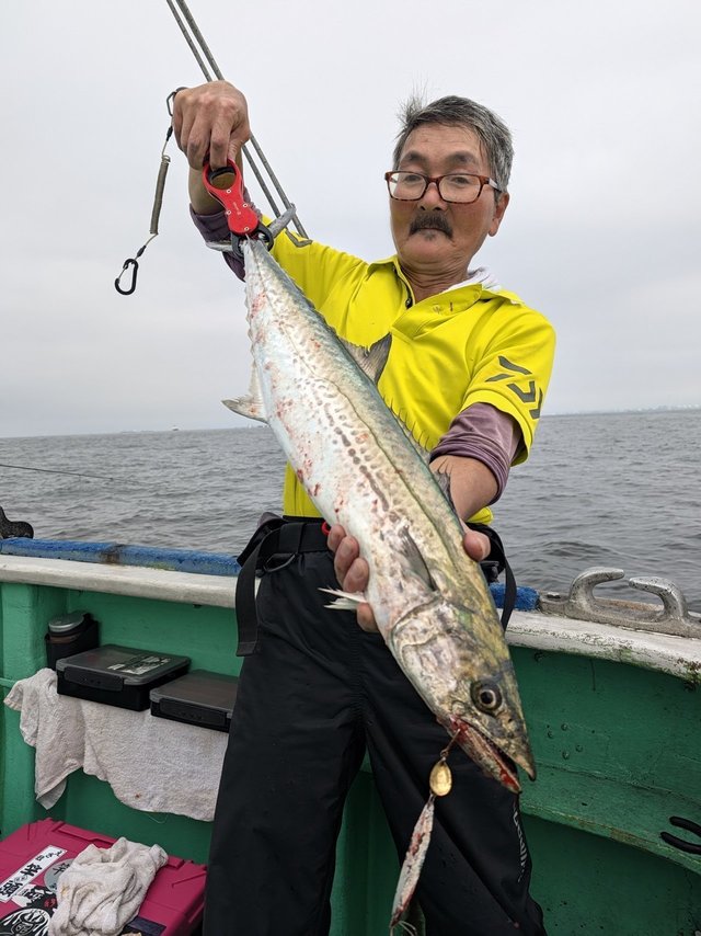サワラ