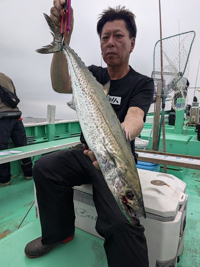 サワラ