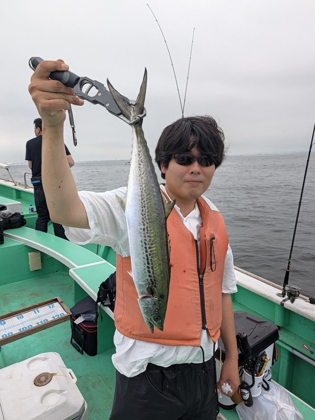 サワラ