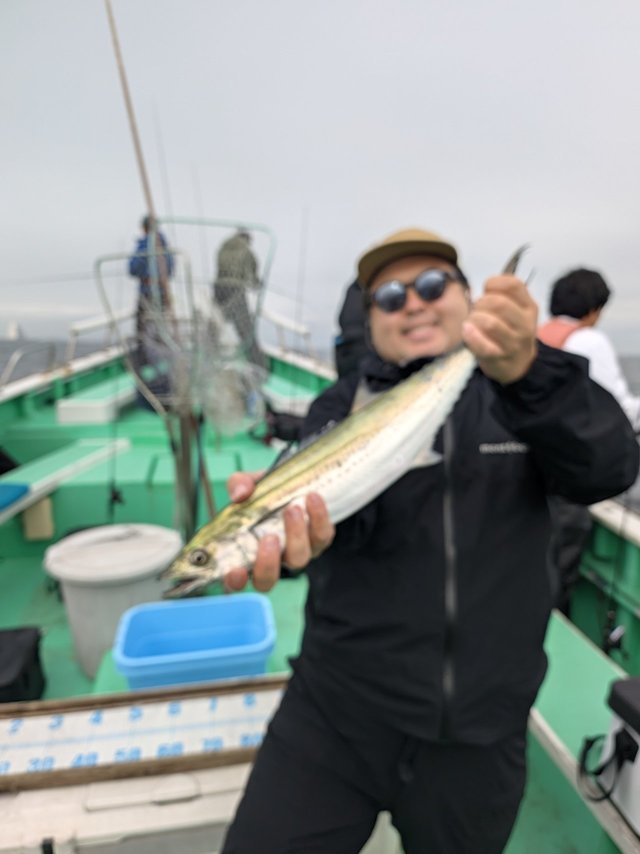 サワラ