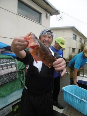 カサゴ