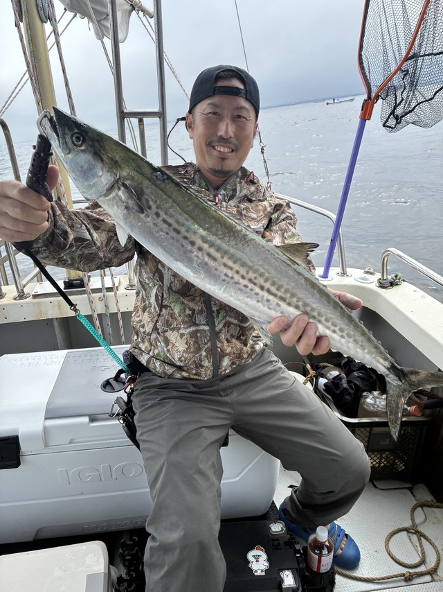 サワラ