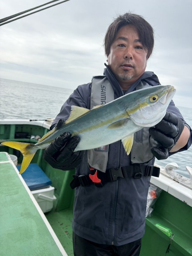 イナダ(ブリ)