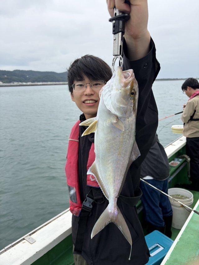 カンパチ