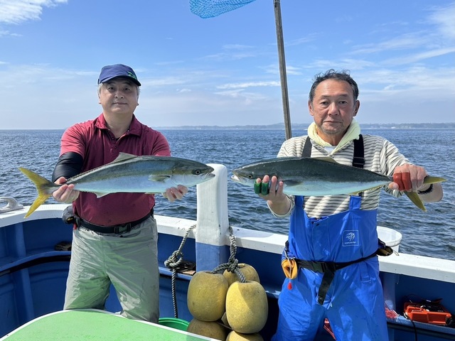 ワラサ(ブリ)