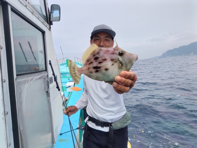 カワハギ
