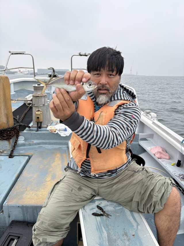 アジ(マアジ)