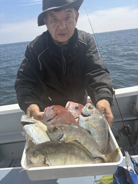 マダイ・カイワリ・イサキ