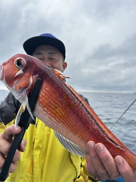 アマダイ(アカアマダイ)