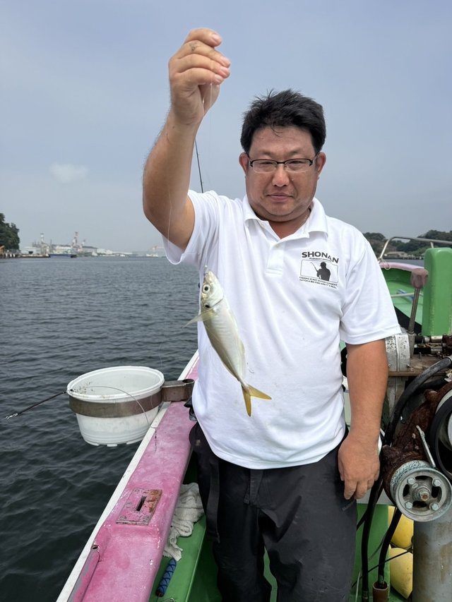 アジ(マアジ)