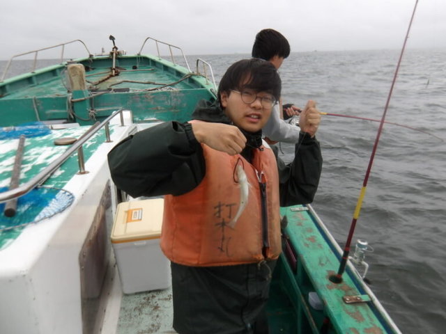 シロギス