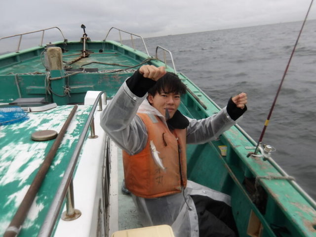 シロギス
