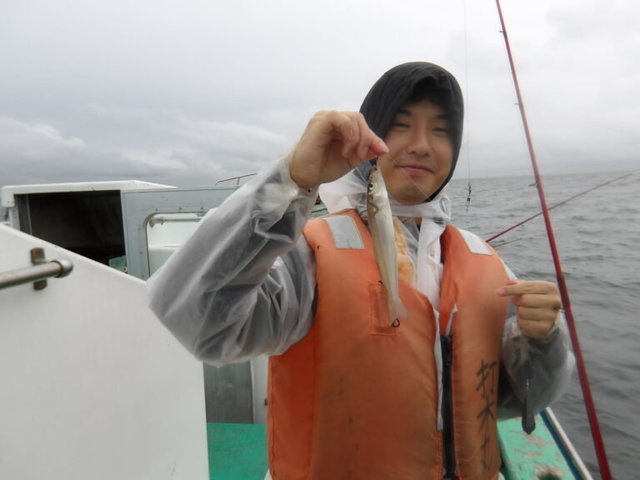 シロギス