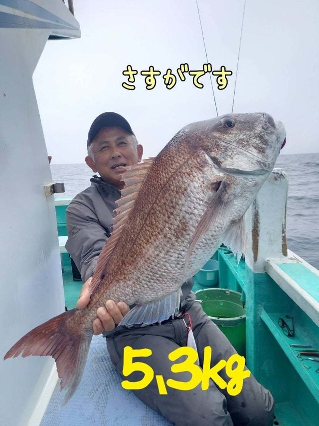 マダイ