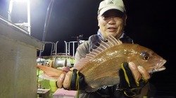 マダイ