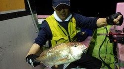 マダイ