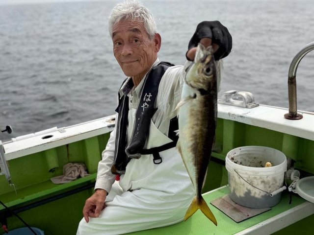 アジ(マアジ)