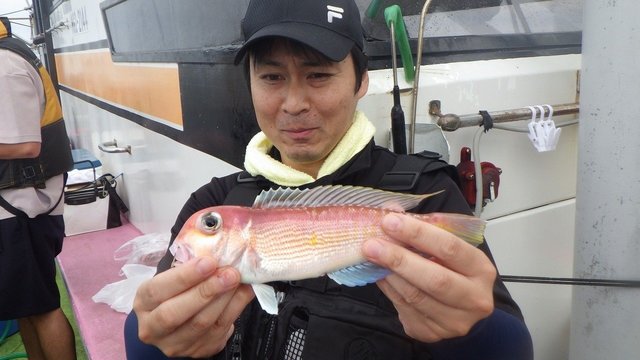 アマダイ(アカアマダイ)