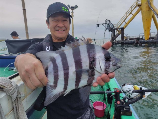イシダイ