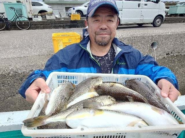 ショウサイフグ