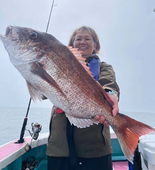 マダイ