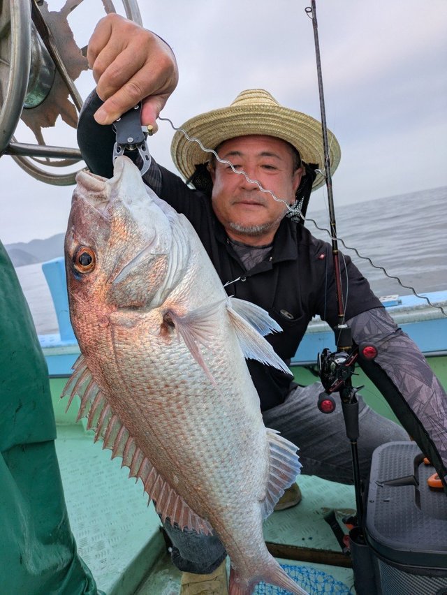 マダイ
