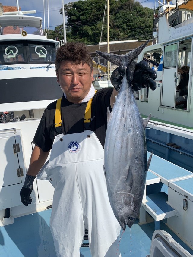 カツオ